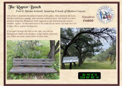 Raptor Bench