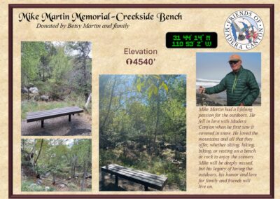 Bench 20 Mike Martin Creekside