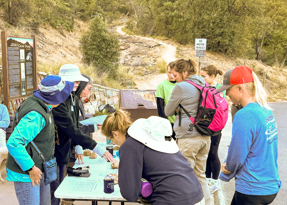 Earth Day in Madera Canyon