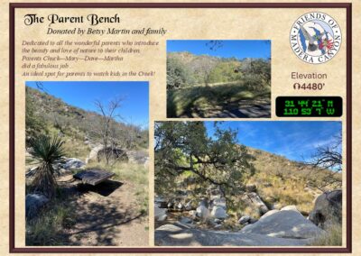 Parent Bench