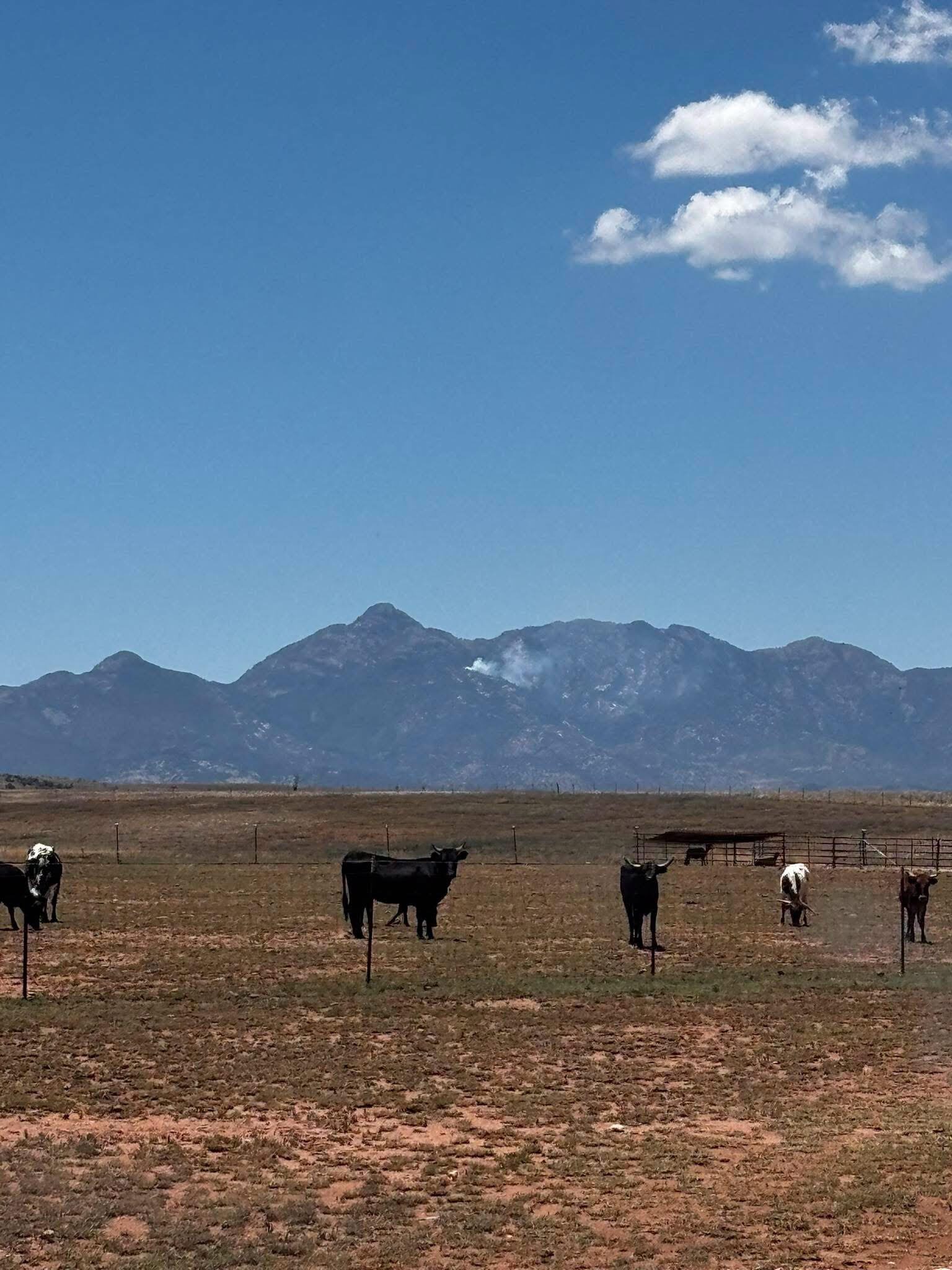 Santa Rita Mountains