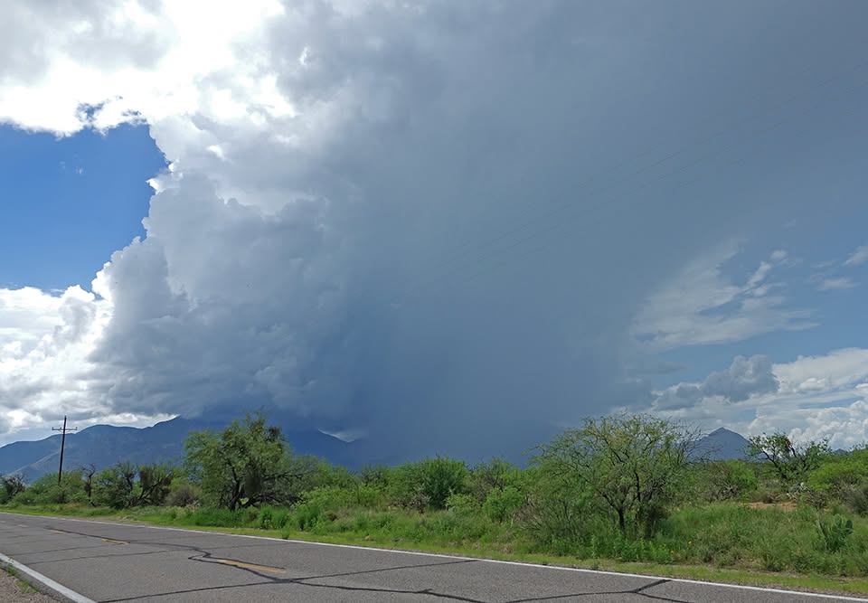 Monsoon season