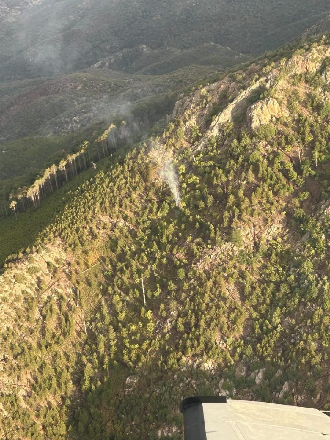 Josephine Fire in Coronado National Forest