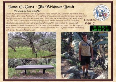 Wrightson Bench in Madera Canyon