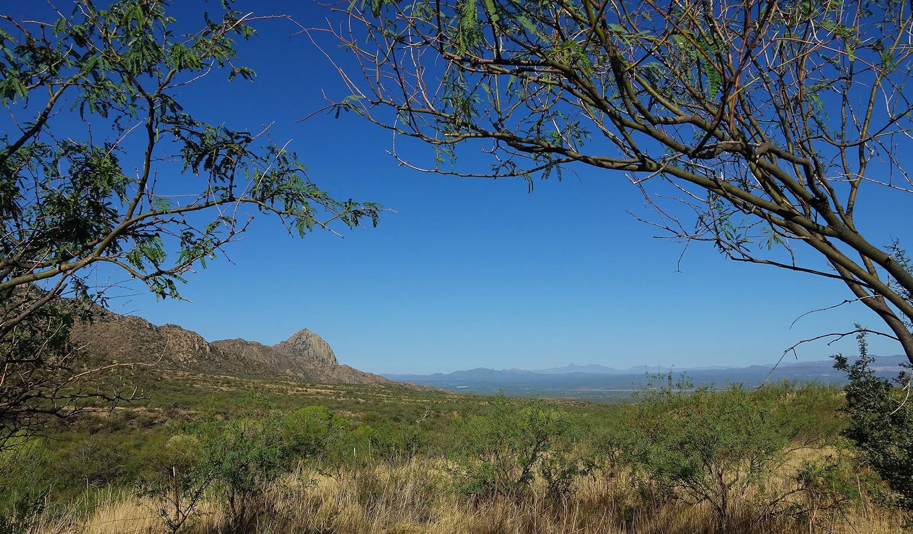 Landscape view of the canyon under wide open skies