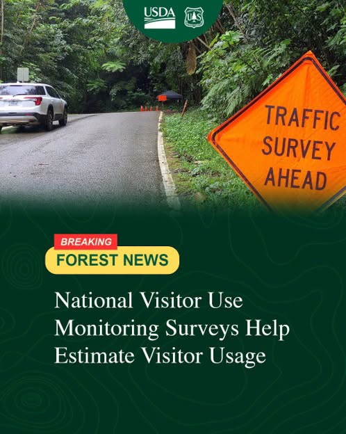 Forest News